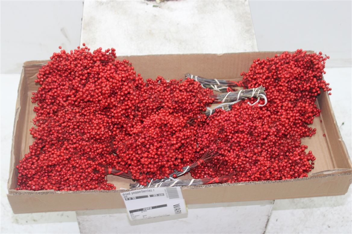 Pepperberries Red