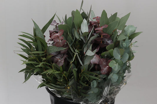 Eucalyptus Mix Short