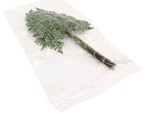Leatherleaf Vacum Pack