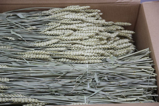 Dried Wheat Naturel