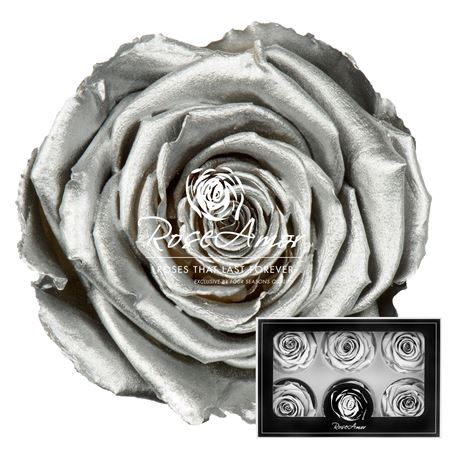 Rosa Pres. Metallic Silver