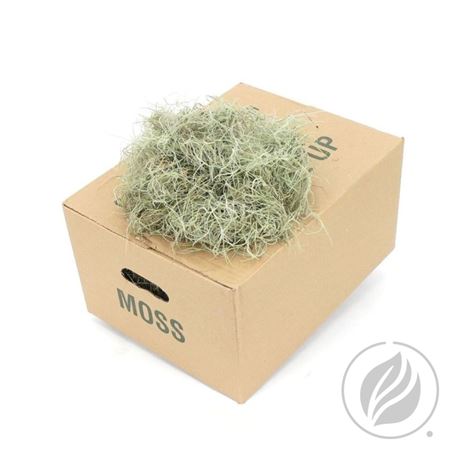 Moss Spanish Fine