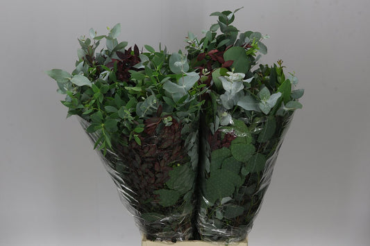 Eucalyptus Mix