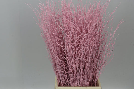Birch Pale Pink