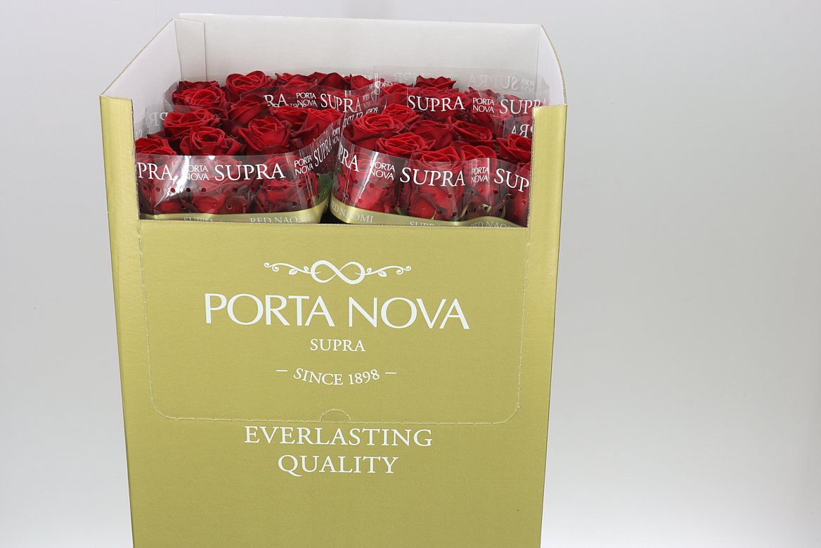 Rosa Gr Red Naomi Supra