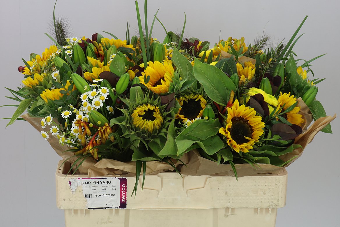 Bq Sunflowers X4