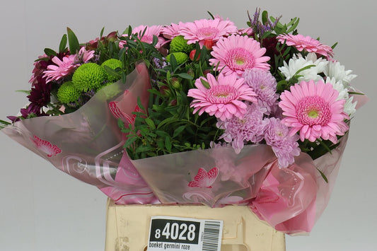Bq Gerb M Pink X3
