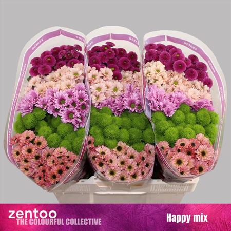 Chr San Happy Mix